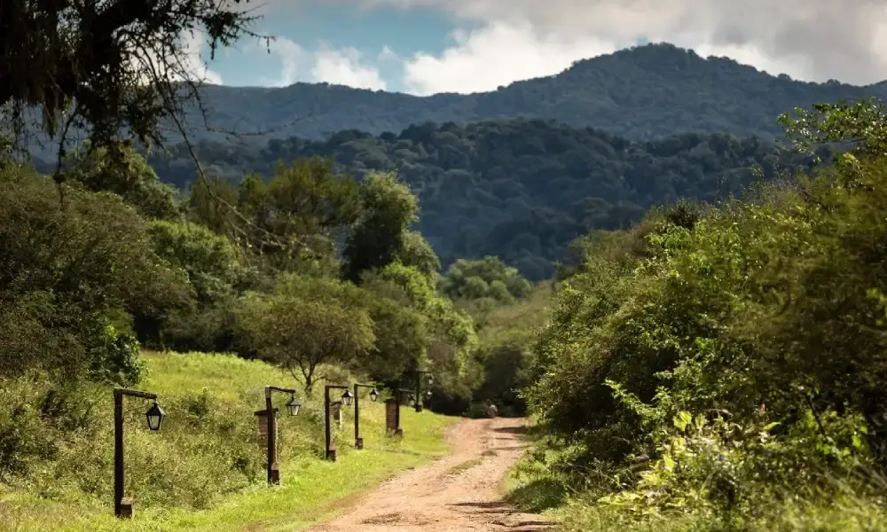 Naturaleza en Parque Nacional Copo