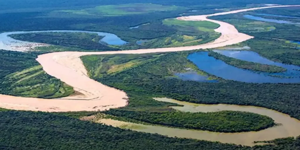 Caminos con curvas sobre montañas con vegetación